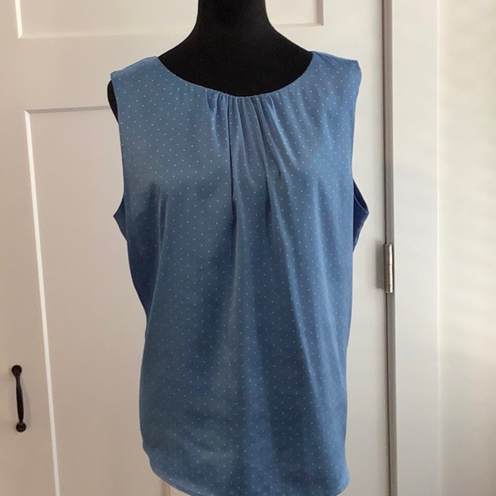 The Limited sleeveless top